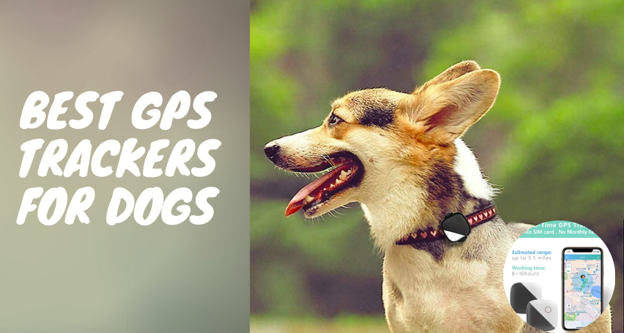 best gps trackers for dogs